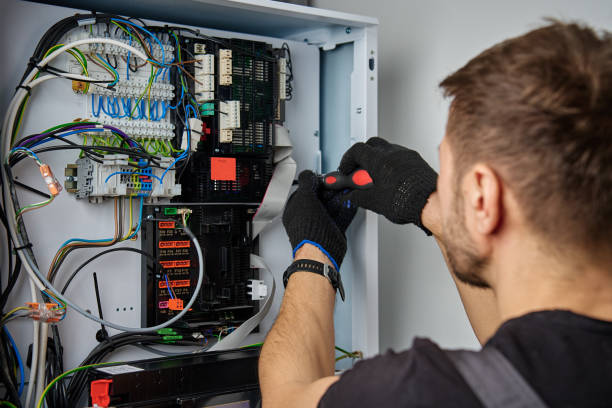 Licensed Electrical Panel Upgrade service in Ruhenstroth, NV - No Joke electrician